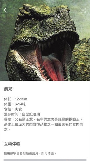 数字昆仑安卓直装版