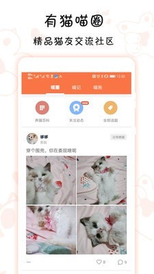 领喵正版