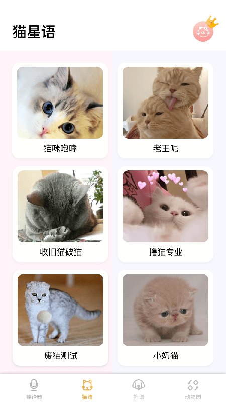 猫语翻译大师手机免费版图1
