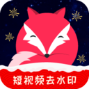 飞狐视频去水印原版
