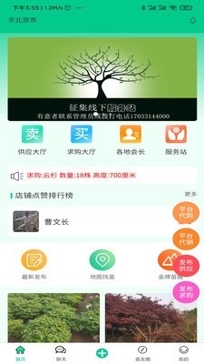 苗木人(1)