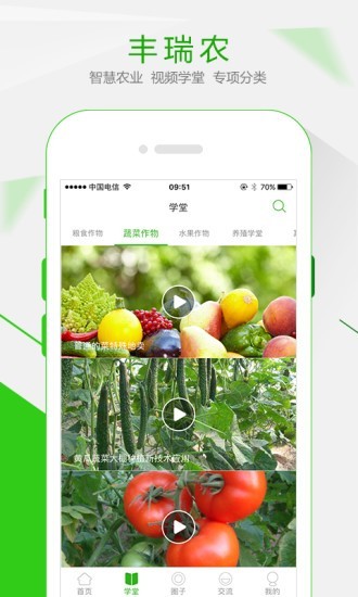 易村图3