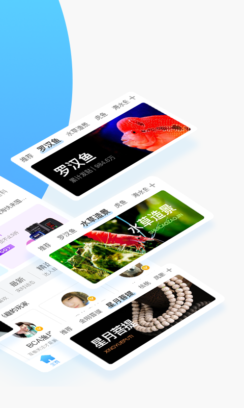 龙巅鱼邻官方最新版图2