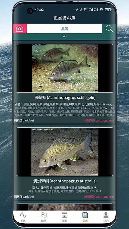 潮汐表精灵手机最新版图4