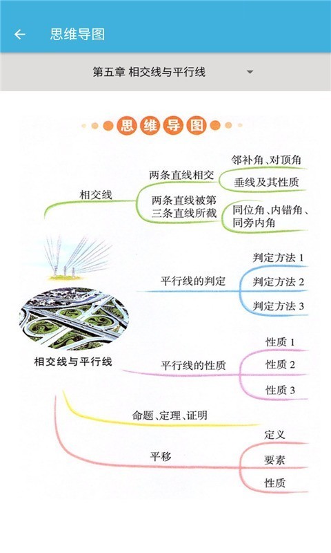 七年级下册数学辅导手机免费版图2
