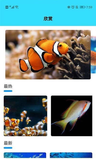 我爱养鱼正版图1