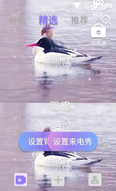 视频铃声来电秀官方最新版图3