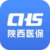 陕西医保直装版