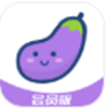 小茄子通用版