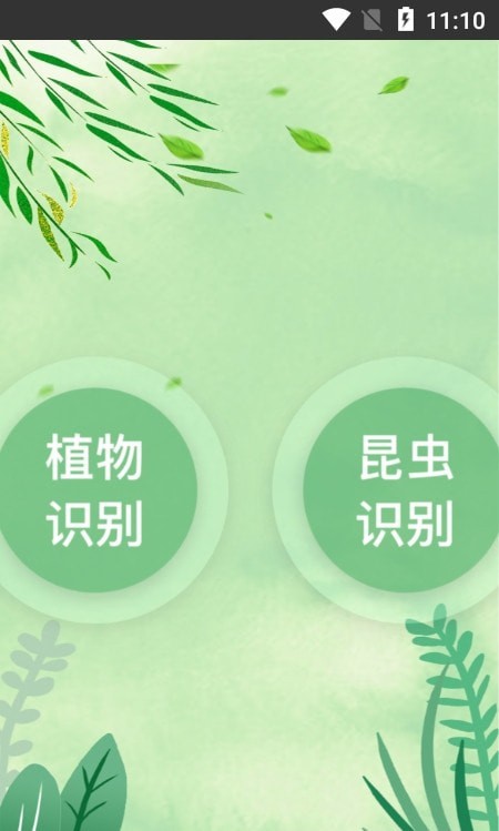 一叶识木官方版图1