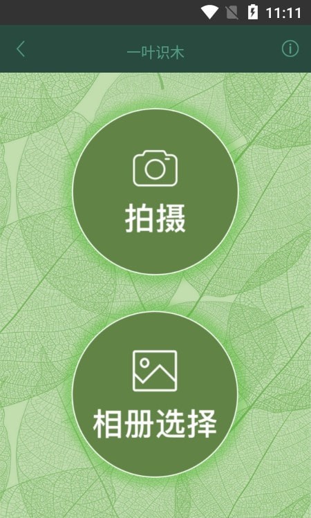 一叶识木官方版图2