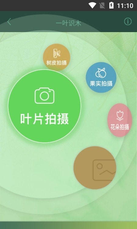一叶识木官方版图3