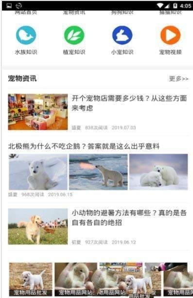 我的宠舍正版(3)