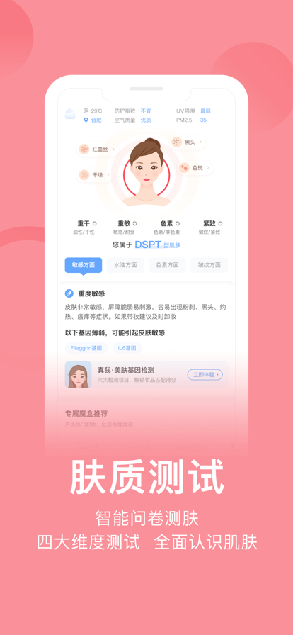 真我(1)
