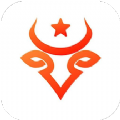 星速航运平台手机免费版