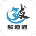 鲅道通官方正版
