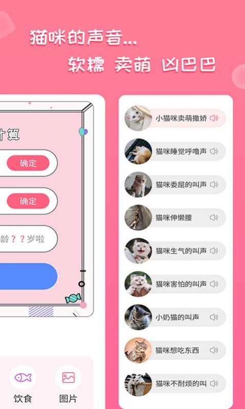 人猫翻译神器官方版