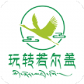 玩转若尔盖免费原版 V9.0.10