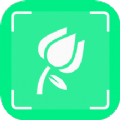 一起认植物最新版
