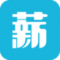 薪老板直装版
