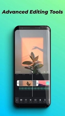 Viddup原版图1