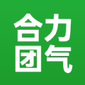 合力团气正版