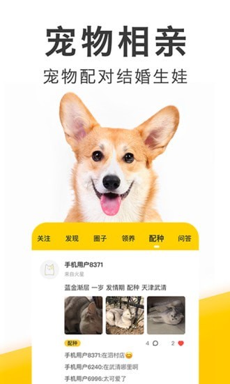 有只宠物免费原版