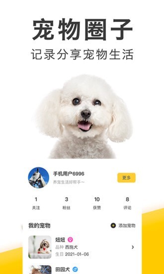 有只宠物免费原版