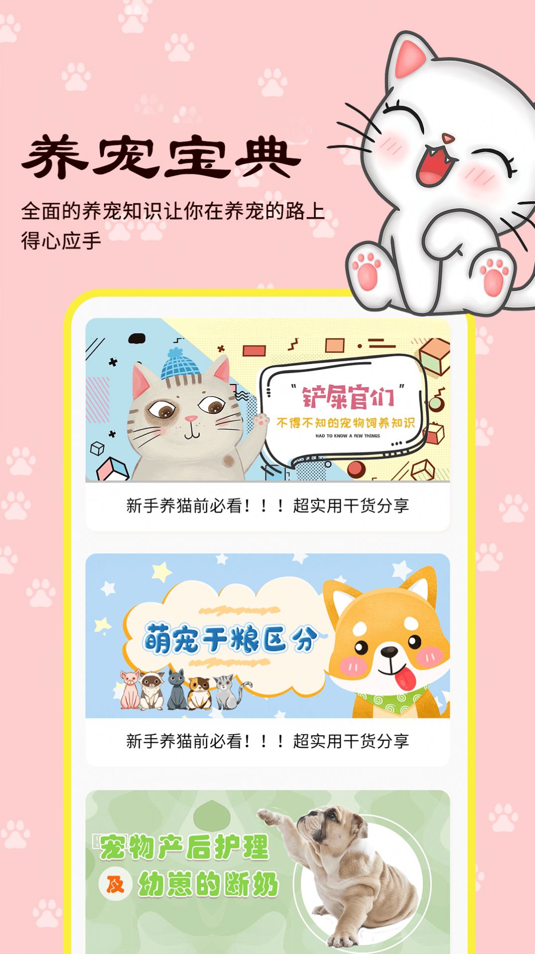 橙猫官方版