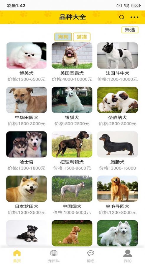 富张东狗官方正版图2