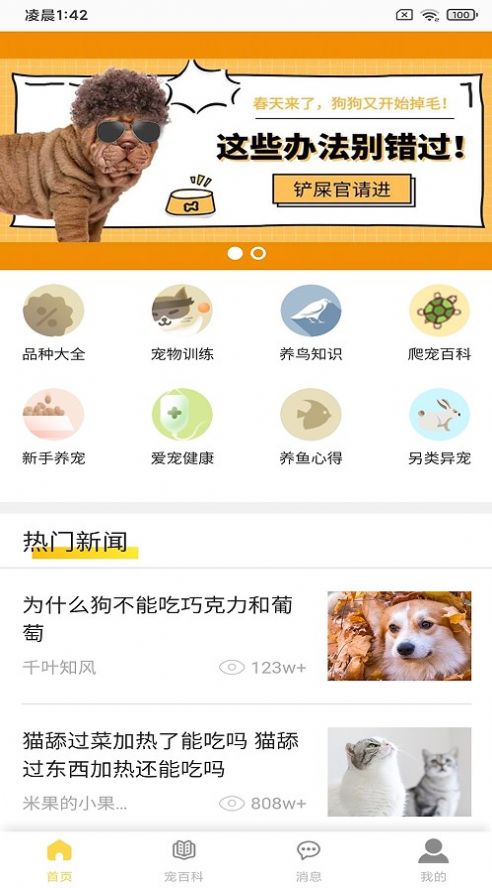 富张东狗官方正版图3