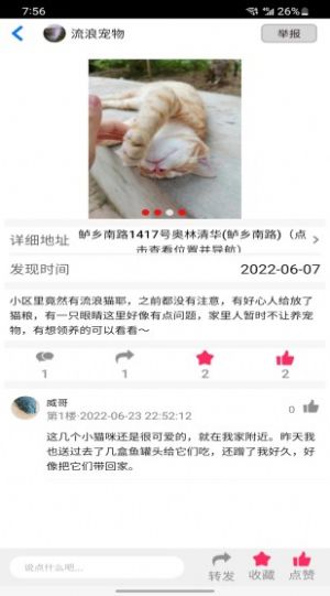 流浪宠物官方版图1