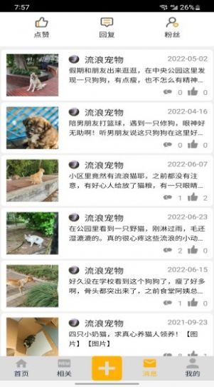 流浪宠物官方版图2