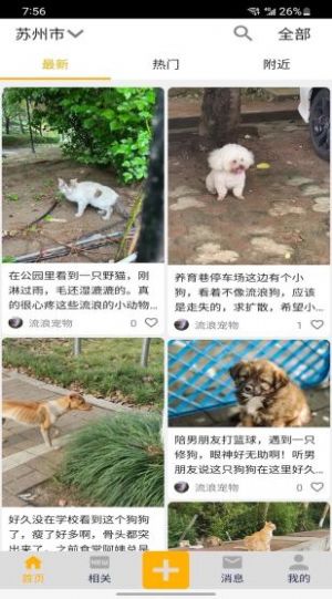 流浪宠物官方版图3