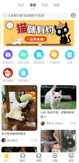 种猫家最新版图1