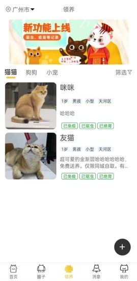 种猫家最新版图2