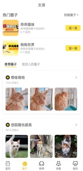 种猫家最新版图3