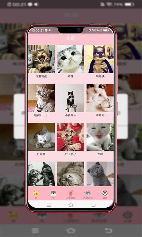 动物智能翻译