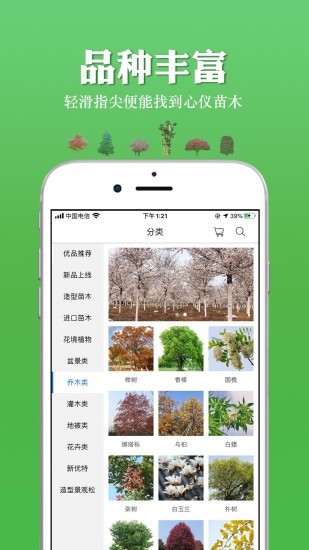 绿龙星选图2