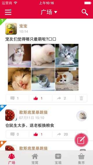 京东宠宠安卓版