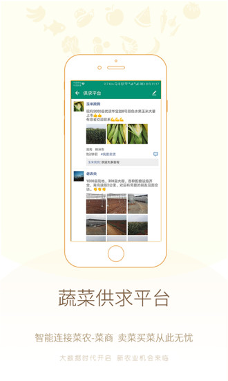真甜农服官方版图2