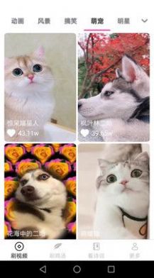畅看刷刷正版图3