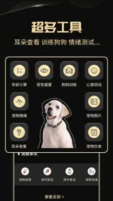 人狗交流神器手机正版