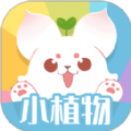 小植物无广告版
