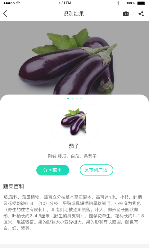 识菜君最新版