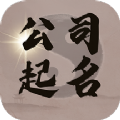 公司注册起名原版
