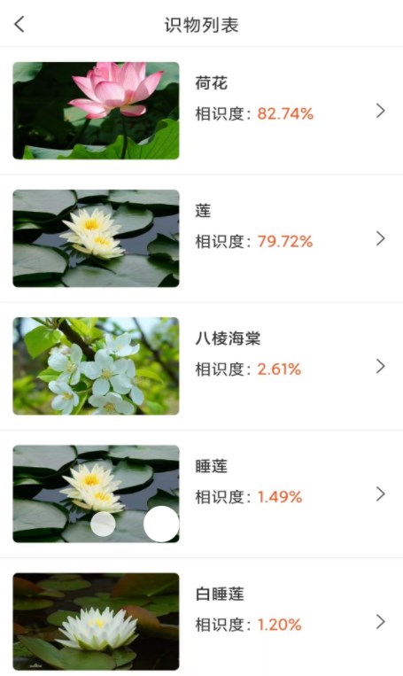 拍照识物全能王手机正版图2