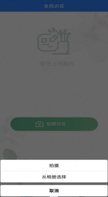 全民识花(1)