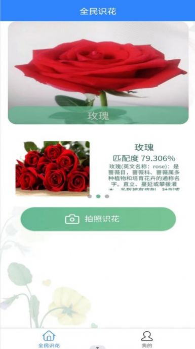 全民识花(2)