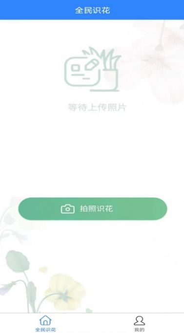 全民识花(3)